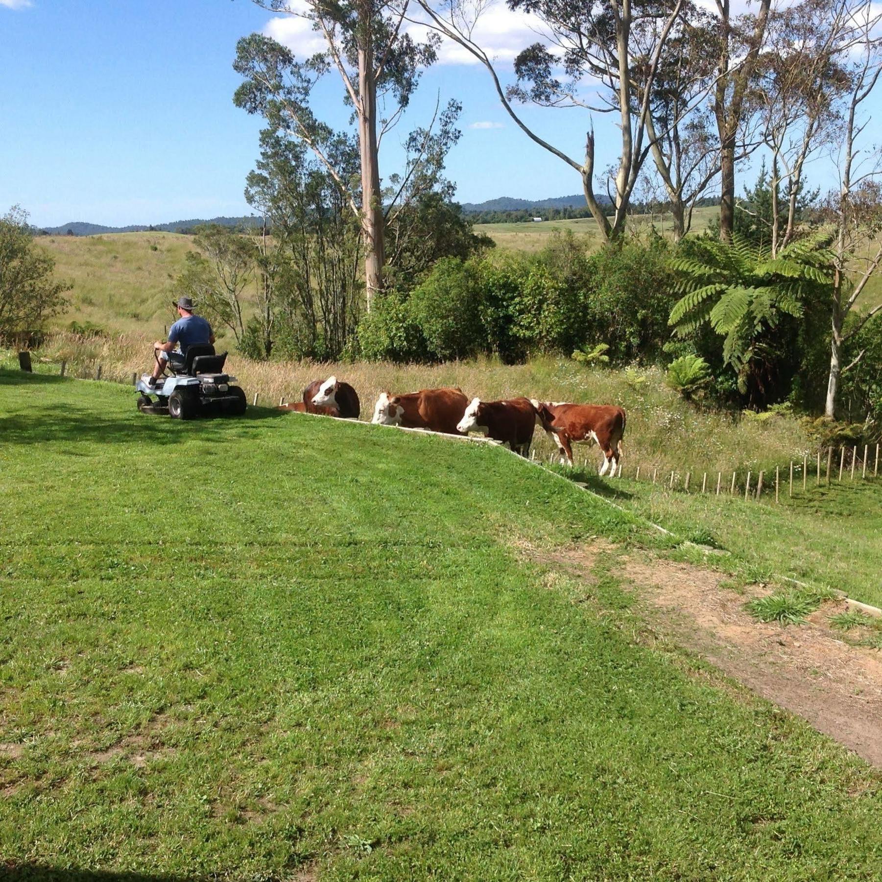 Rolling Hills Country Stay B&B Tauranga Exterior photo