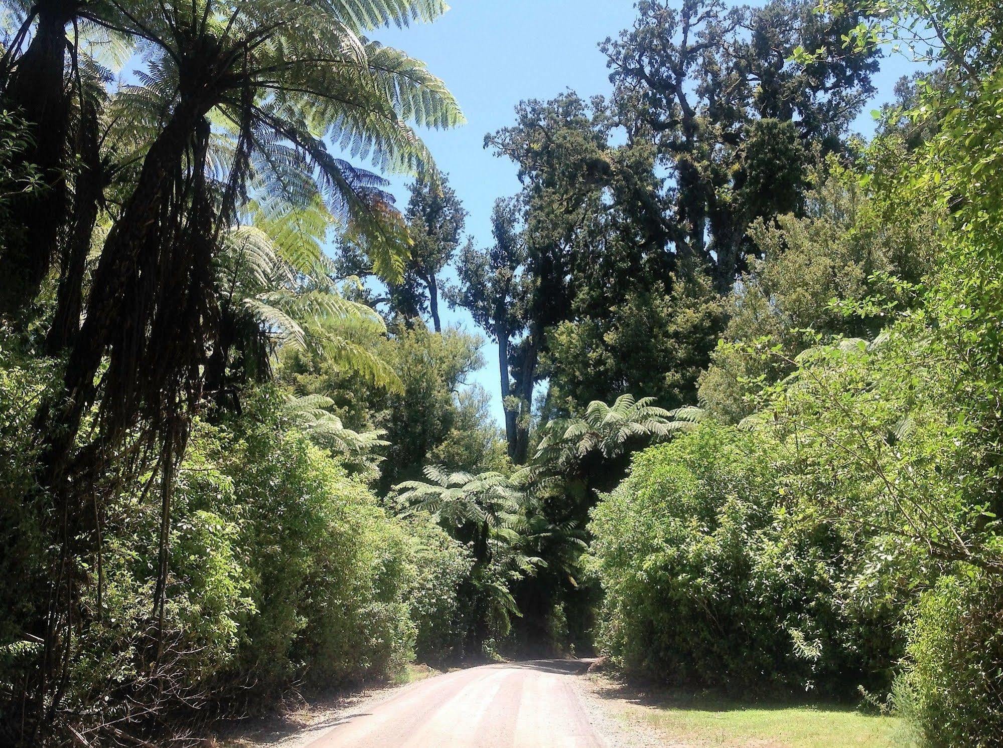 Rolling Hills Country Stay B&B Tauranga Exterior photo