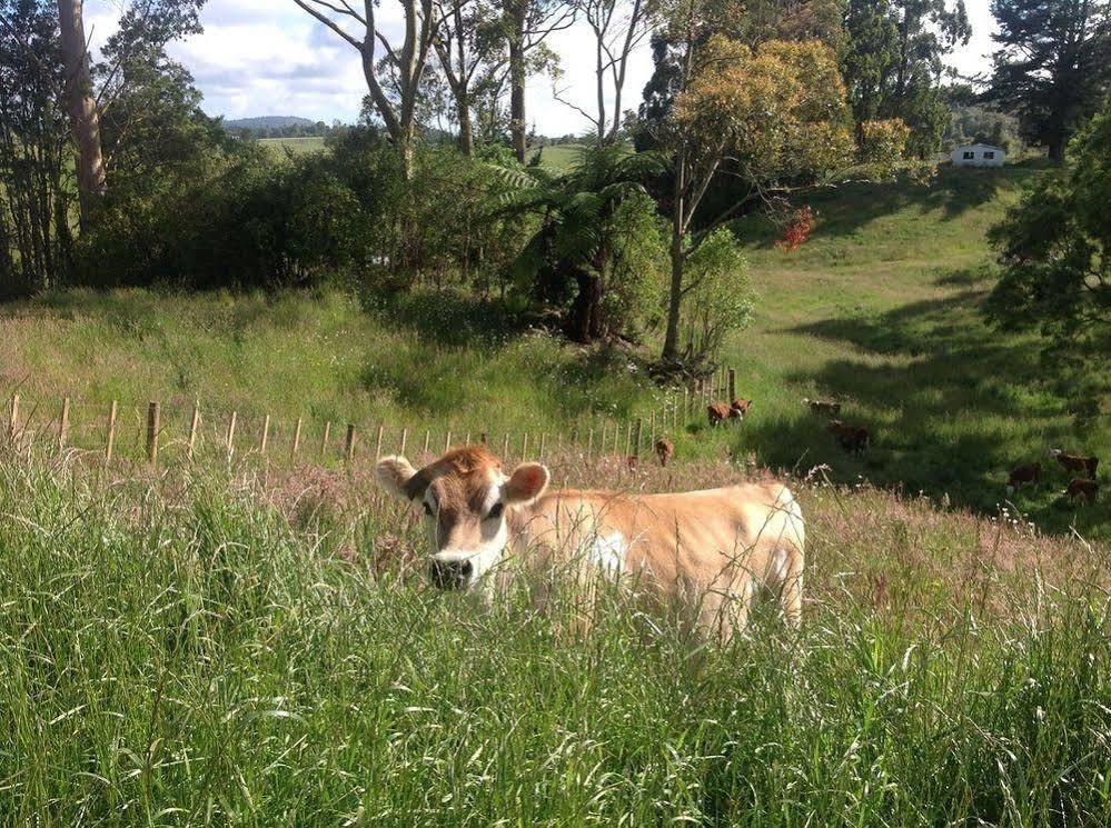 Rolling Hills Country Stay B&B Tauranga Exterior photo